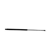 Tailgate/trunk strut/damper