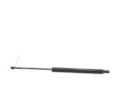 Tailgate/trunk strut/damper