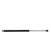 Tailgate/trunk strut/damper