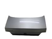 Tailgate/trunk/boot lid