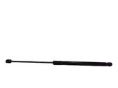 Tailgate/trunk strut/damper