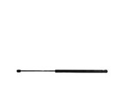 Tailgate/trunk strut/damper