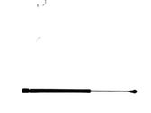 Tailgate/trunk strut/damper