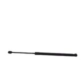 Tailgate/trunk strut/damper