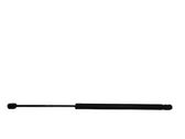 Tailgate/trunk strut/damper