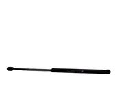 Tailgate/trunk strut/damper