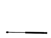 Tailgate/trunk strut/damper