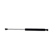 Tailgate/trunk strut/damper
