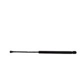 Tailgate/trunk strut/damper
