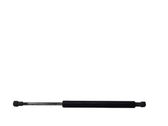 Tailgate/trunk strut/damper