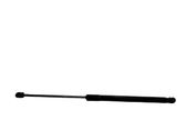 Tailgate/trunk strut/damper