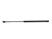 Tailgate/trunk strut/damper