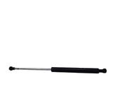 Tailgate/trunk strut/damper