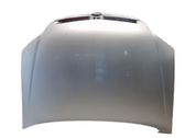 Engine bonnet/hood