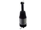 Rear shock absorber/damper