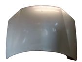 Motorhaube