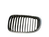 Front bumper upper radiator grill