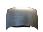 Engine bonnet/hood