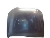Engine bonnet/hood