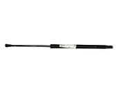 Tailgate/trunk strut/damper