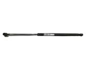 Tailgate/trunk strut/damper