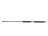 Tailgate/trunk strut/damper