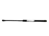 Tailgate/trunk strut/damper