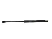 Tailgate/trunk strut/damper