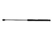 Tailgate/trunk strut/damper