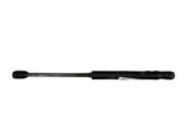 Tailgate/trunk strut/damper