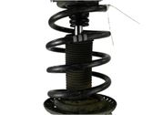 Front coil spring