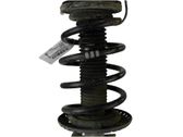 Front coil spring