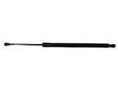 Tailgate/trunk strut/damper