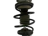 Front coil spring