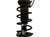 Front coil spring