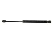Tailgate/trunk strut/damper