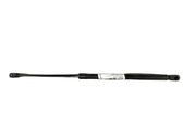 Tailgate/trunk strut/damper