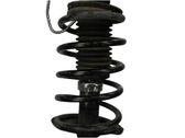 Front coil spring