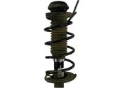 Front coil spring