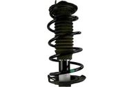 Front coil spring