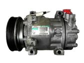 Klimakompressor Pumpe
