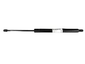 Tailgate/trunk strut/damper