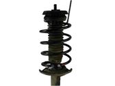 Front coil spring