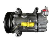 Klimakompressor Pumpe