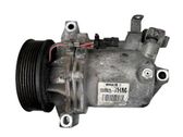 Air conditioning (A/C) compressor (pump)