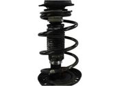 Front coil spring