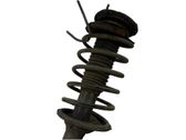 Front coil spring
