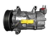 Klimakompressor Pumpe