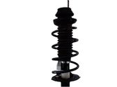 Front coil spring