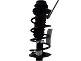 Front coil spring